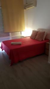 658805731:  en Barcelona