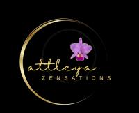 668564113:  en Cádiz