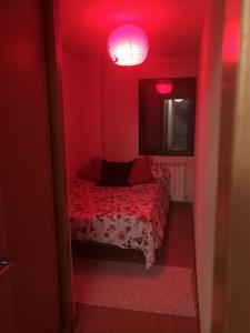 643676742:  en Zamora