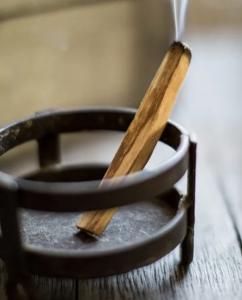 Chica busca chico en Valladolid: 