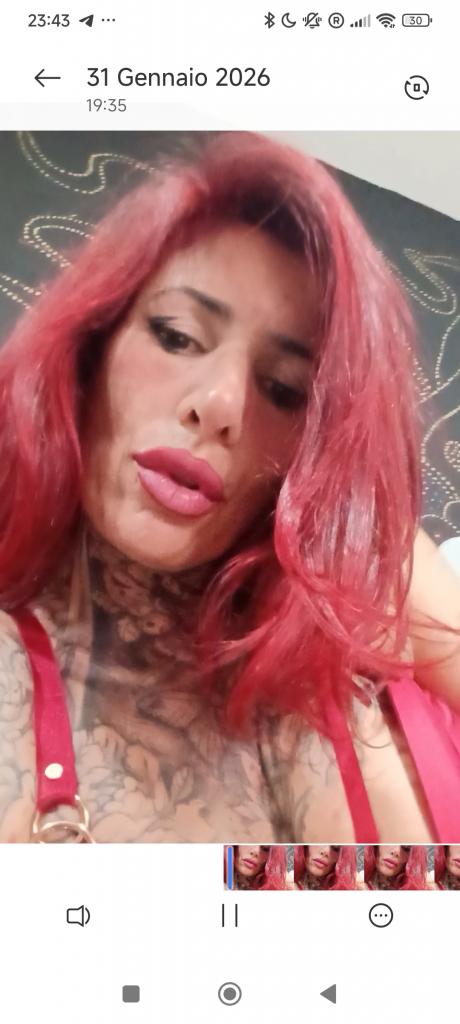 Chico busca chica en Tenerife: 