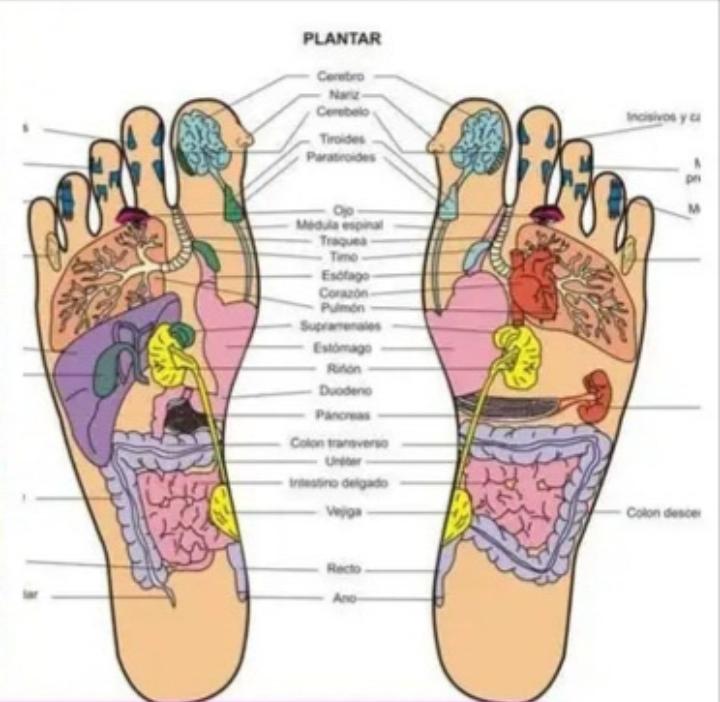 674107608: Chica busca chico en Alicante