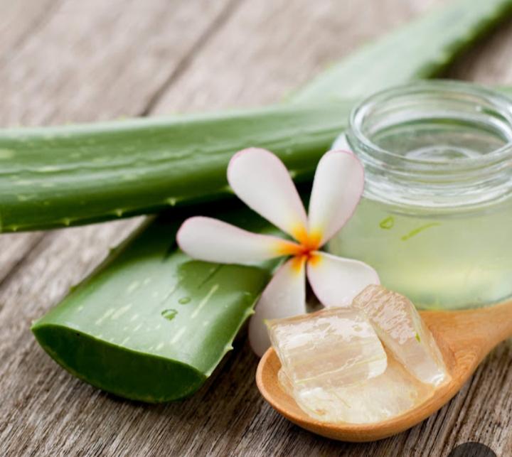 603958412: Chica busca chico en Alicante