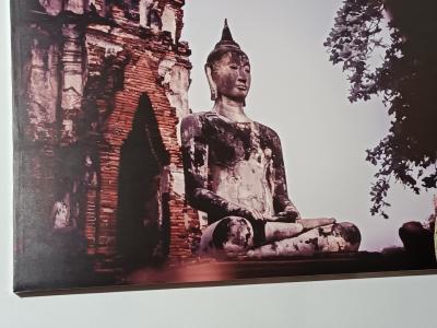 623314771: Chico busca chica en Tenerife