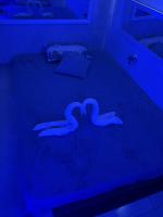 610198320:  en Málaga