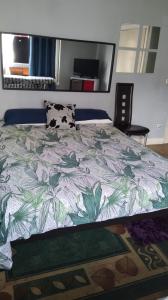 610061149:  en Asturias