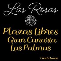 641885390:  en Las Palmas