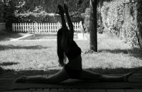 619722534: Travesti en Sevilla