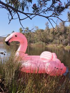 665901426: Chica busca chico en Huelva