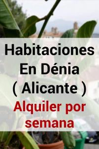 647722582:  en Alicante