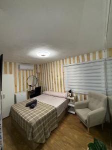 698947098:  en Alicante