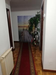 681931102:  en Navarra