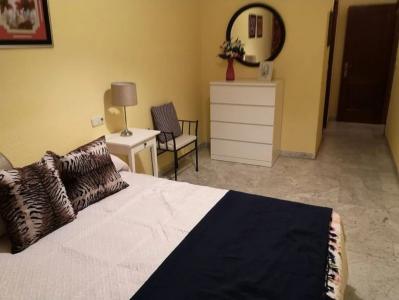 623337711:  en Ciudad Real