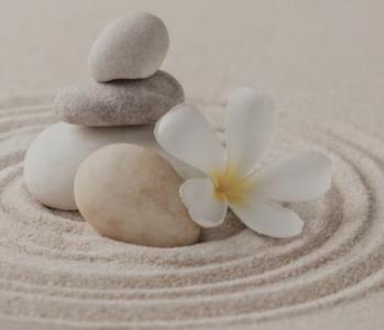 688394537:  en Madrid