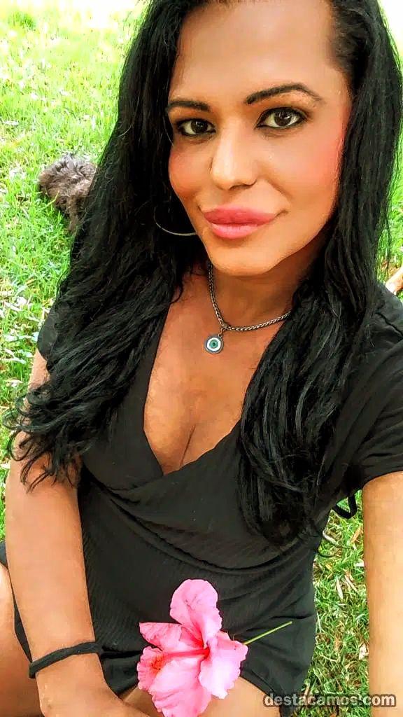 Travesti en Castellón: 