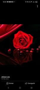 627019881:  en Alicante