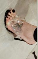 631825988: Transexual en Valencia