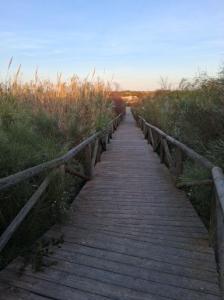 Chico busca chica en Cádiz: 