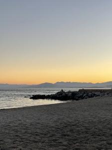 604443672: Travesti en Ceuta