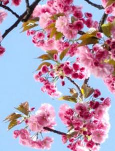 658549613:  en Madrid