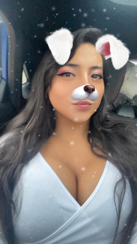 Travesti en Castellón: 