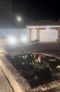 667950348:  en Madrid