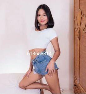 Travesti en Gerona: Transexuales y Travestis