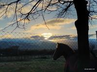 695462738: Chico busca chica en Segovia