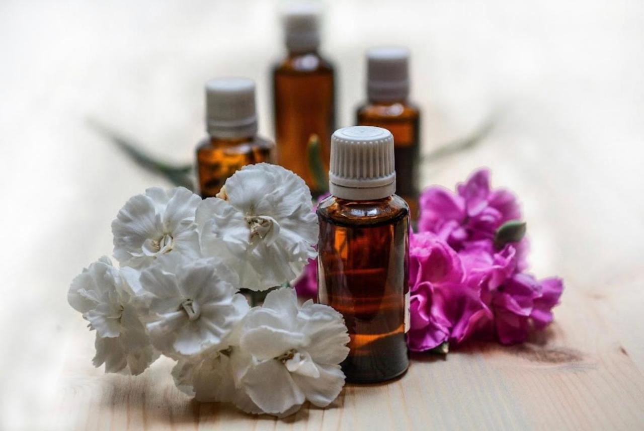 Chico busca chica en Burgos: 