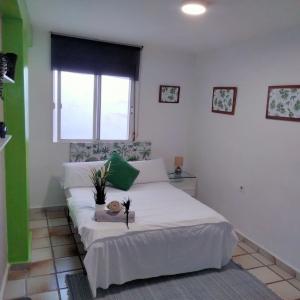 642380026:  en Granada