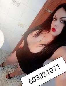 623204806: Travesti en Burgos