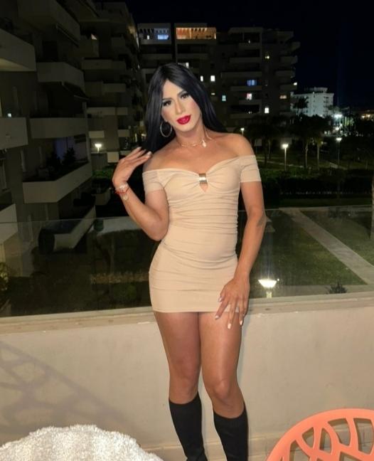 Travesti en Granada: 