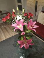 686224211:  en Barcelona