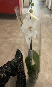 627081031: Chica busca chico en Madrid