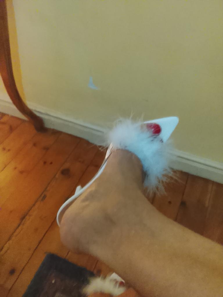 Chica busca chico en Cantabria: 