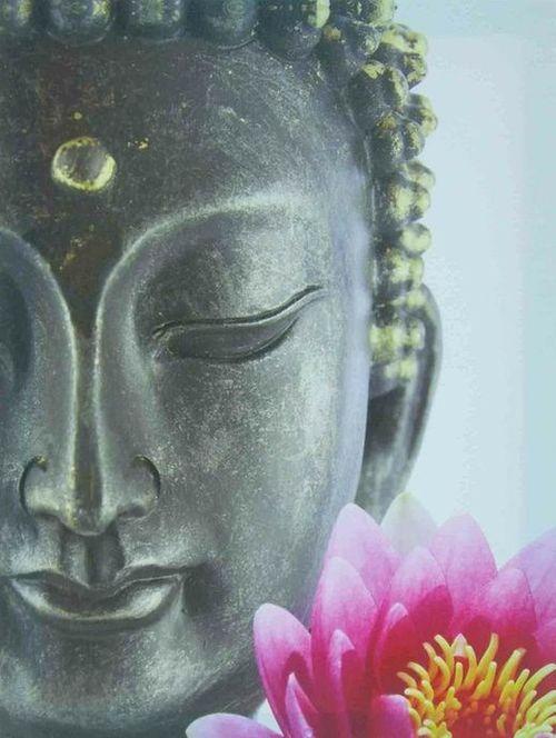 Chica busca chico en Álava: 