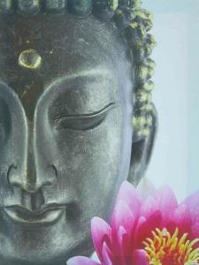 632008189: Chica busca chico en Álava