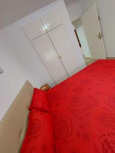 654969564:  en Alicante