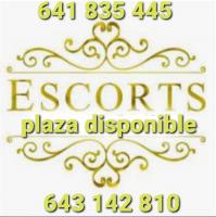 613210088:  en Tarragona