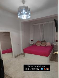 642310274:  en Málaga