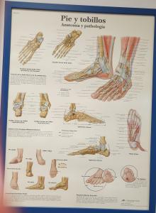 604148935: Chica busca chico en Zaragoza