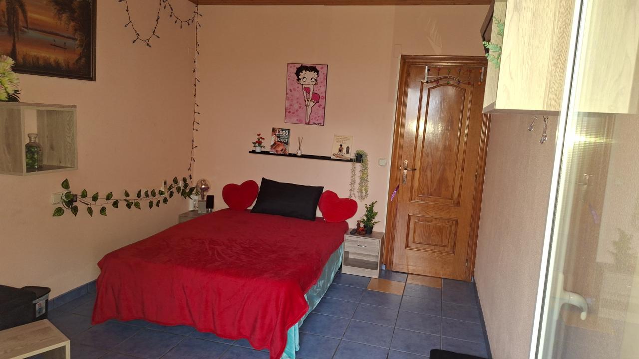 699310211:  en Alicante