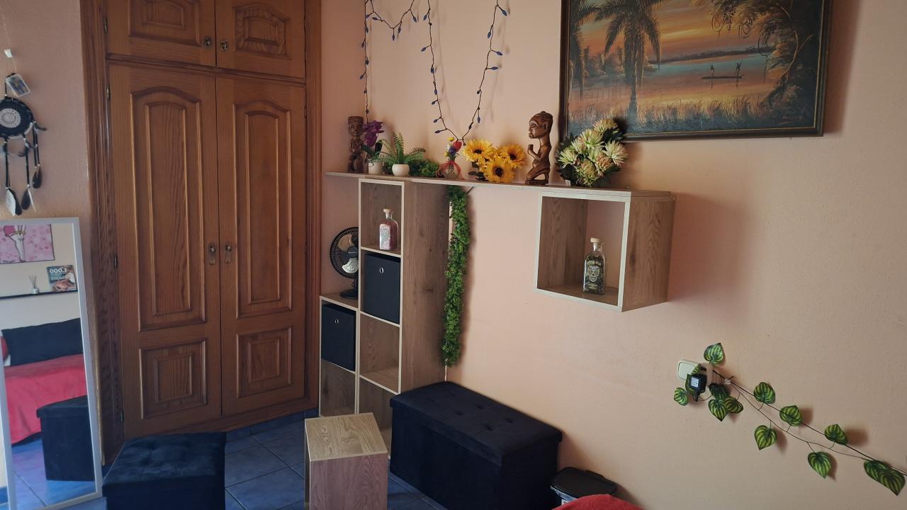 699310211:  en Alicante