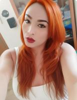 613410281: Travesti en Alicante