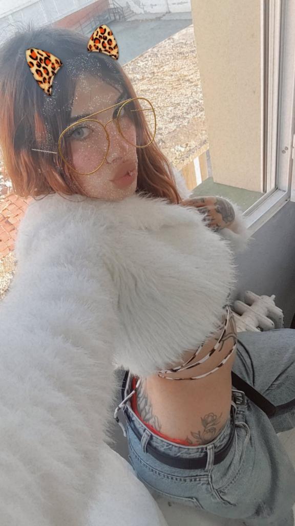 Transexual en Navarra: 