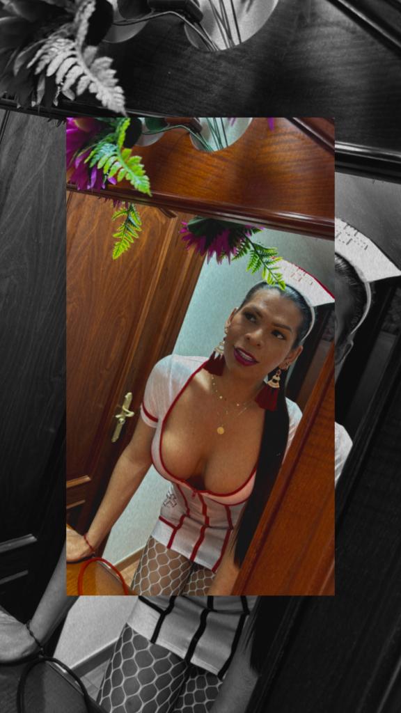 Travesti en Guipúzcoa: Transexuales y Travestis